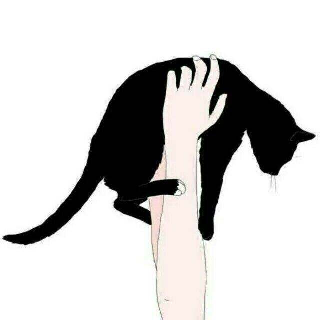 手控头像 简约 文艺 黑猫