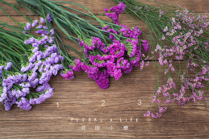 回忆的标记,依然爱丽丝花材:浅紫色勿忘我 / 若干紫色勿忘我 / 若干
