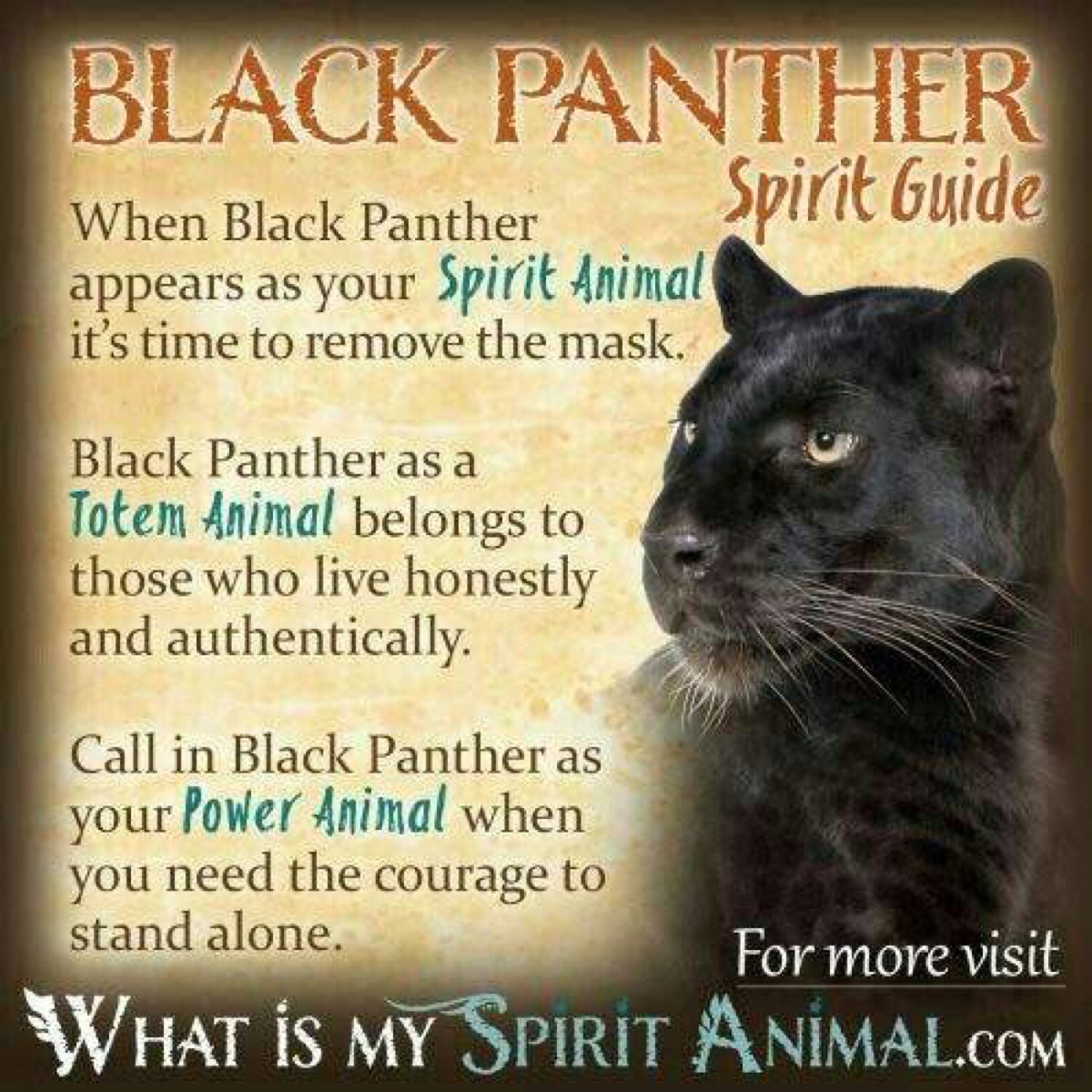 animals:black panther spirit guide