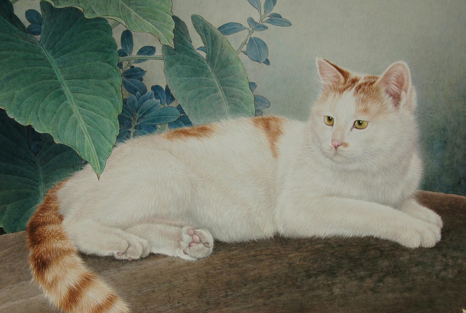 邢诚爱工笔画~猫