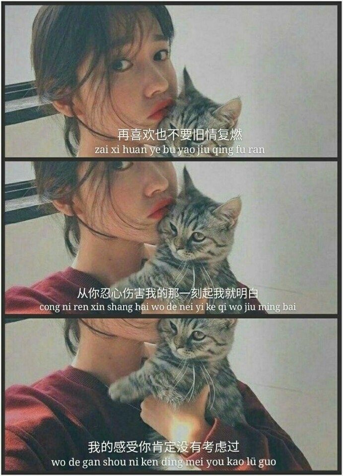文字 拼图