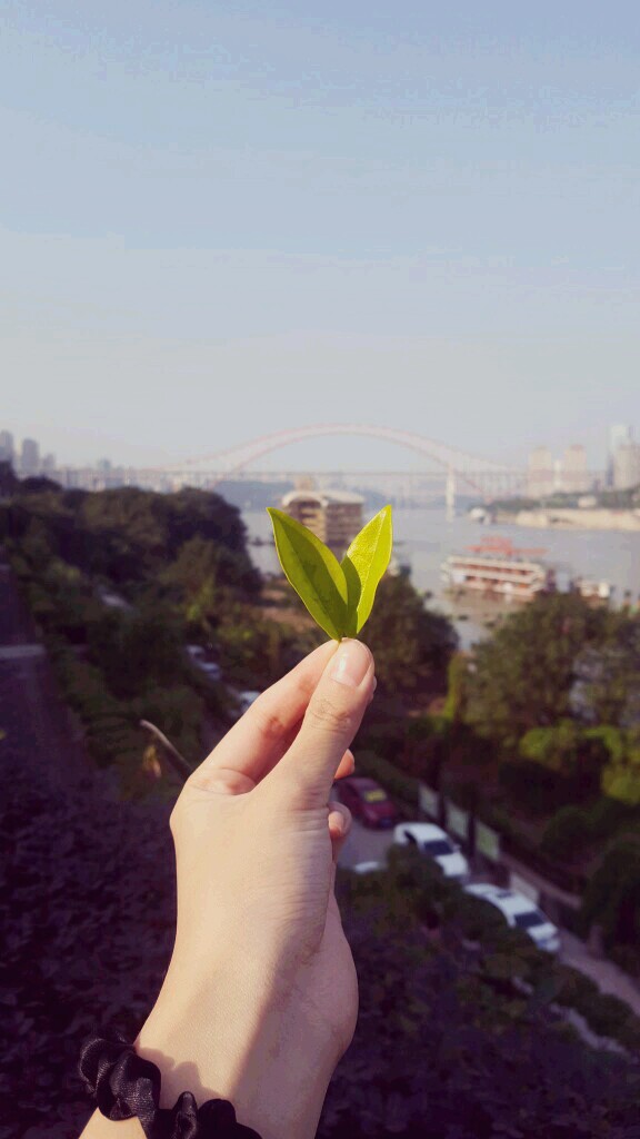 一个人看风景