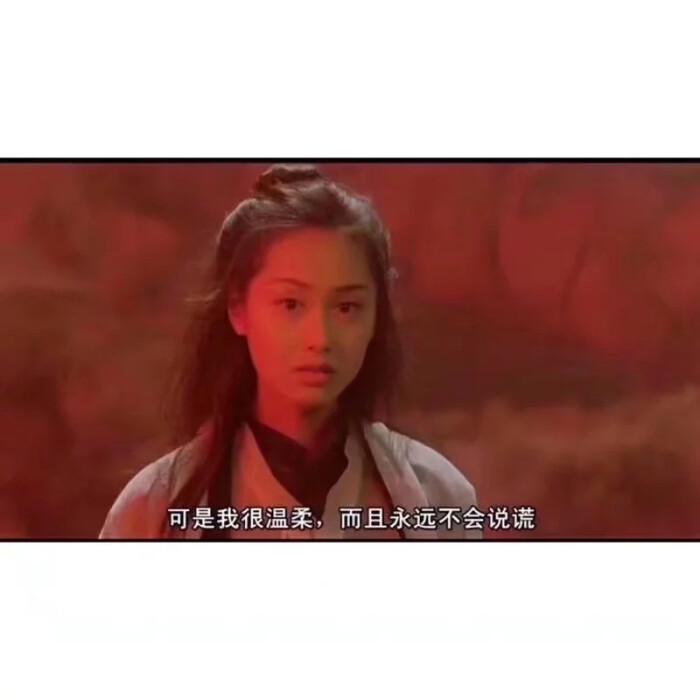 可是我很温柔,而且永远不会说谎