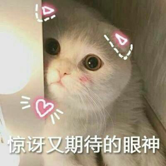 惊讶 期待 眼神