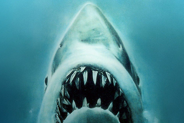 《大白鲨》惊悚电影《大白鲨》(英语:jaws)是1975年上映的一部的美国