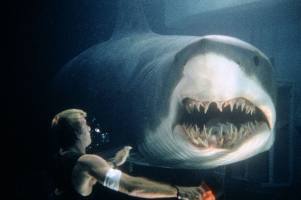 《深海狂鲨》 雷尼·哈林执导的惊悚片 《深…