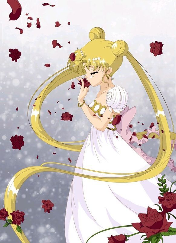 倩妮迪公主(princess serenity)