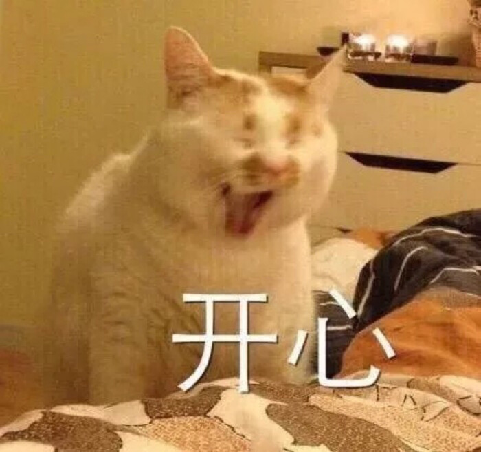 朋友圈 票圈 表情包 微博配图 不定期更新