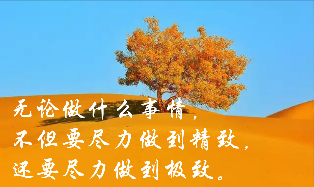 不但要尽力做到精致