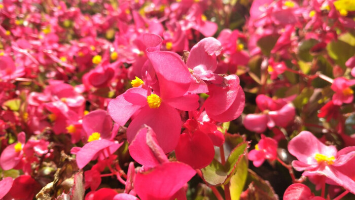 明日复明日,万事成蹉跎!--2017.11.11-堆糖,美好