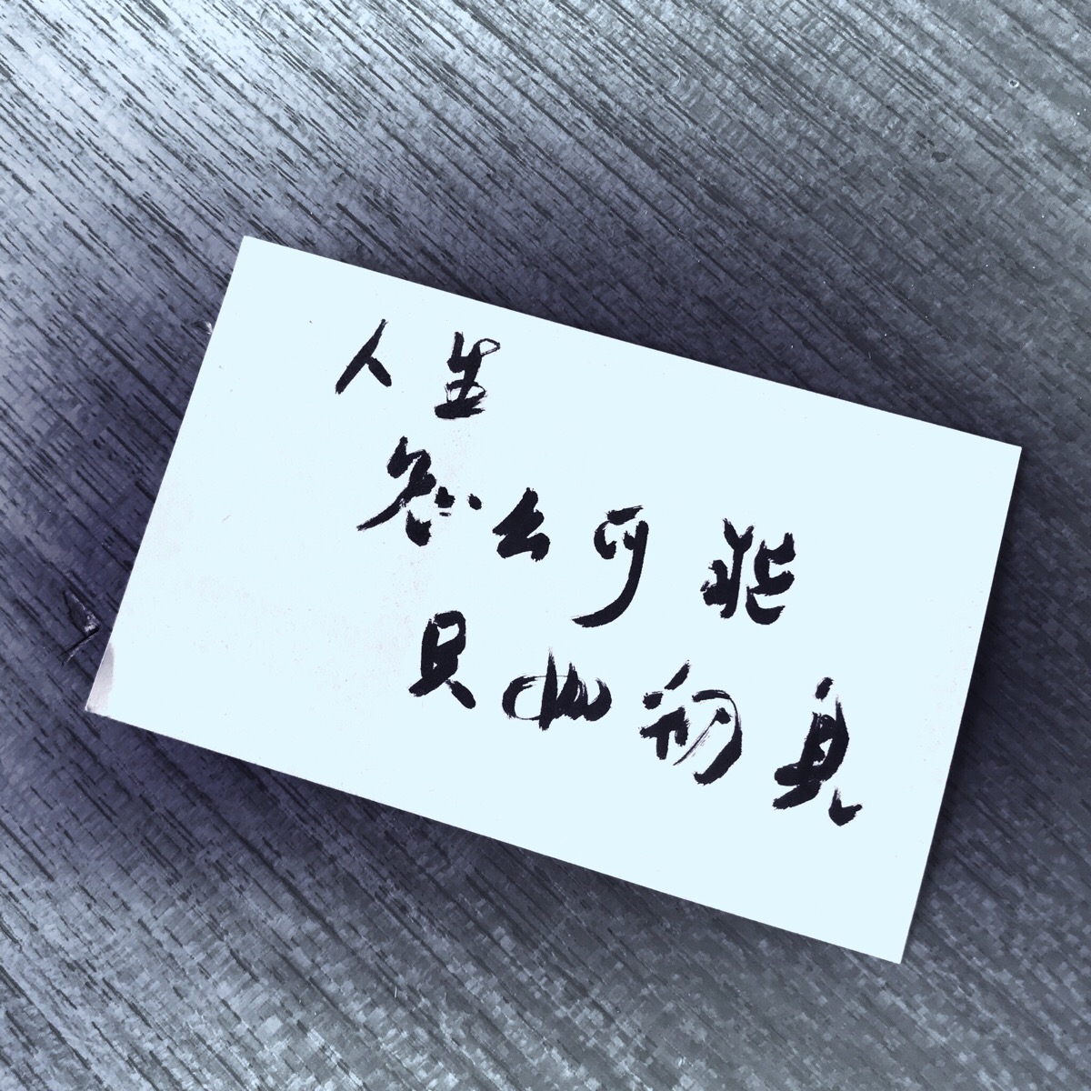 只如初见的意思 堆糖网