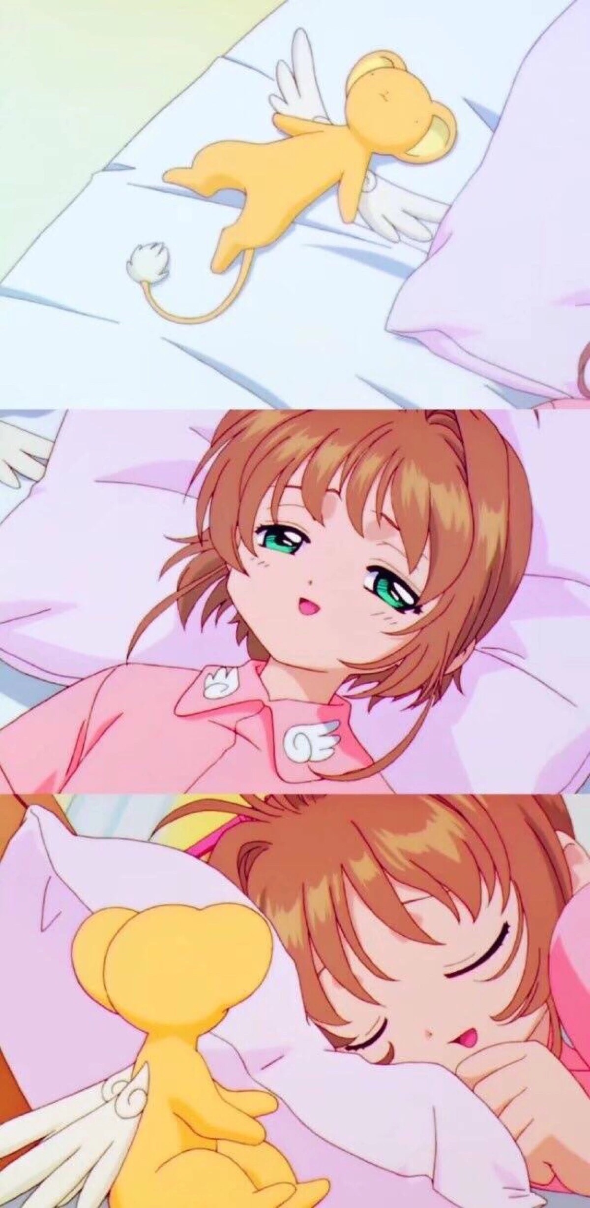 风柔