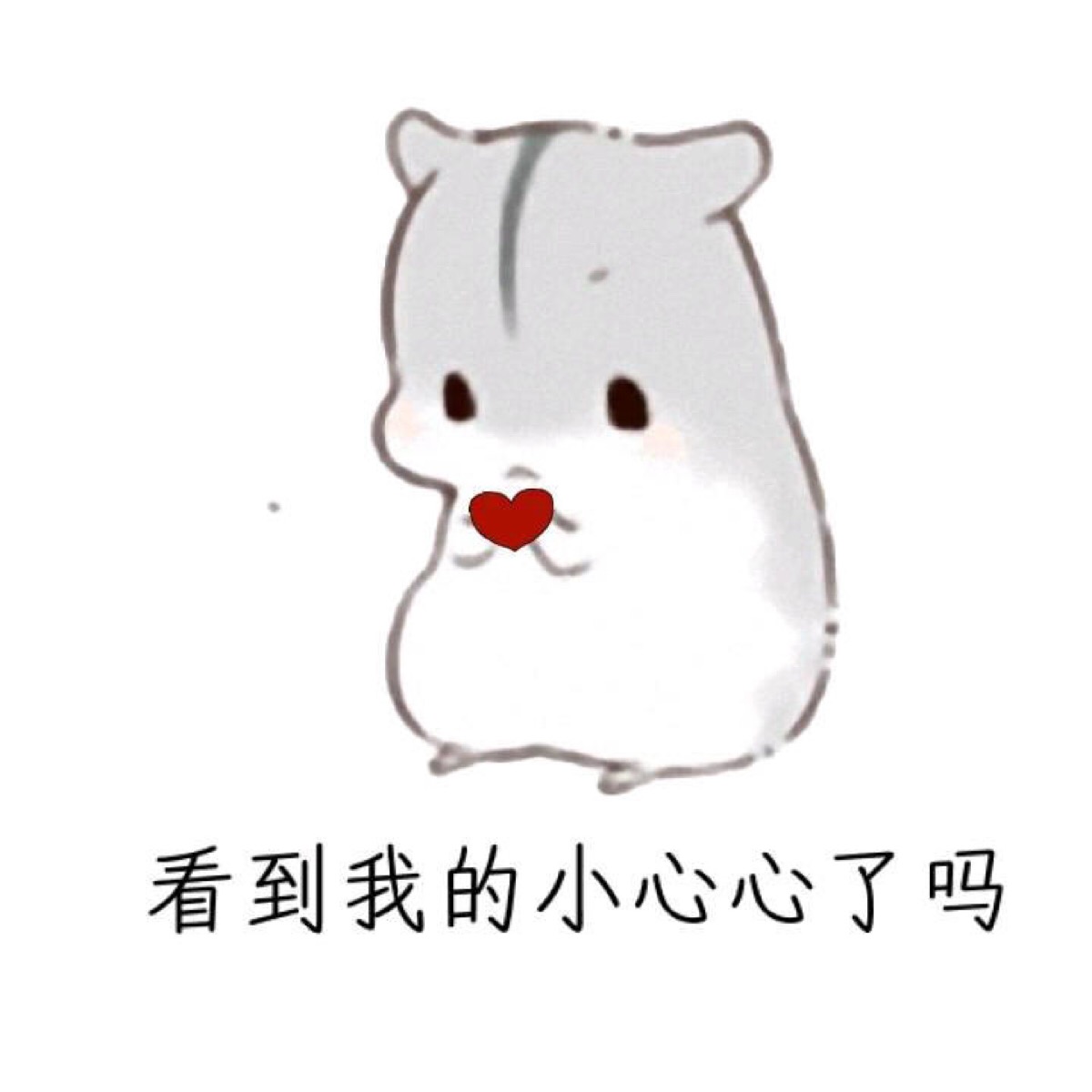 小仓鼠萌萌哒