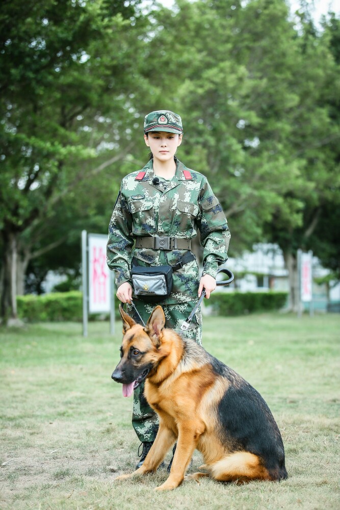 张馨予 奇兵神犬