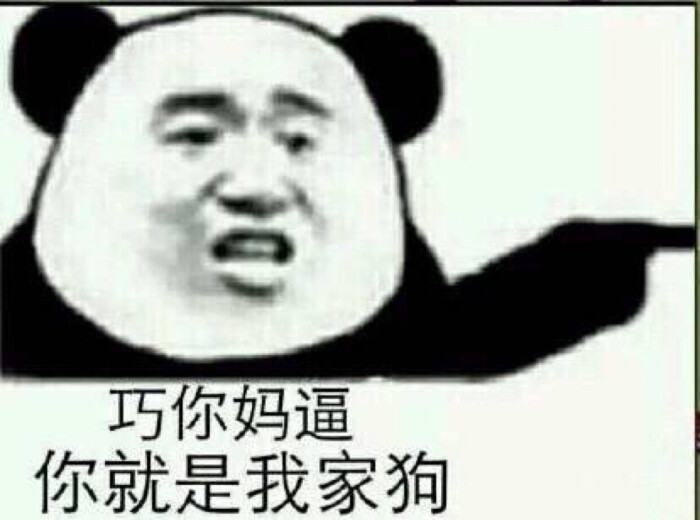 表情包 巧你妈逼你就是我家的狗