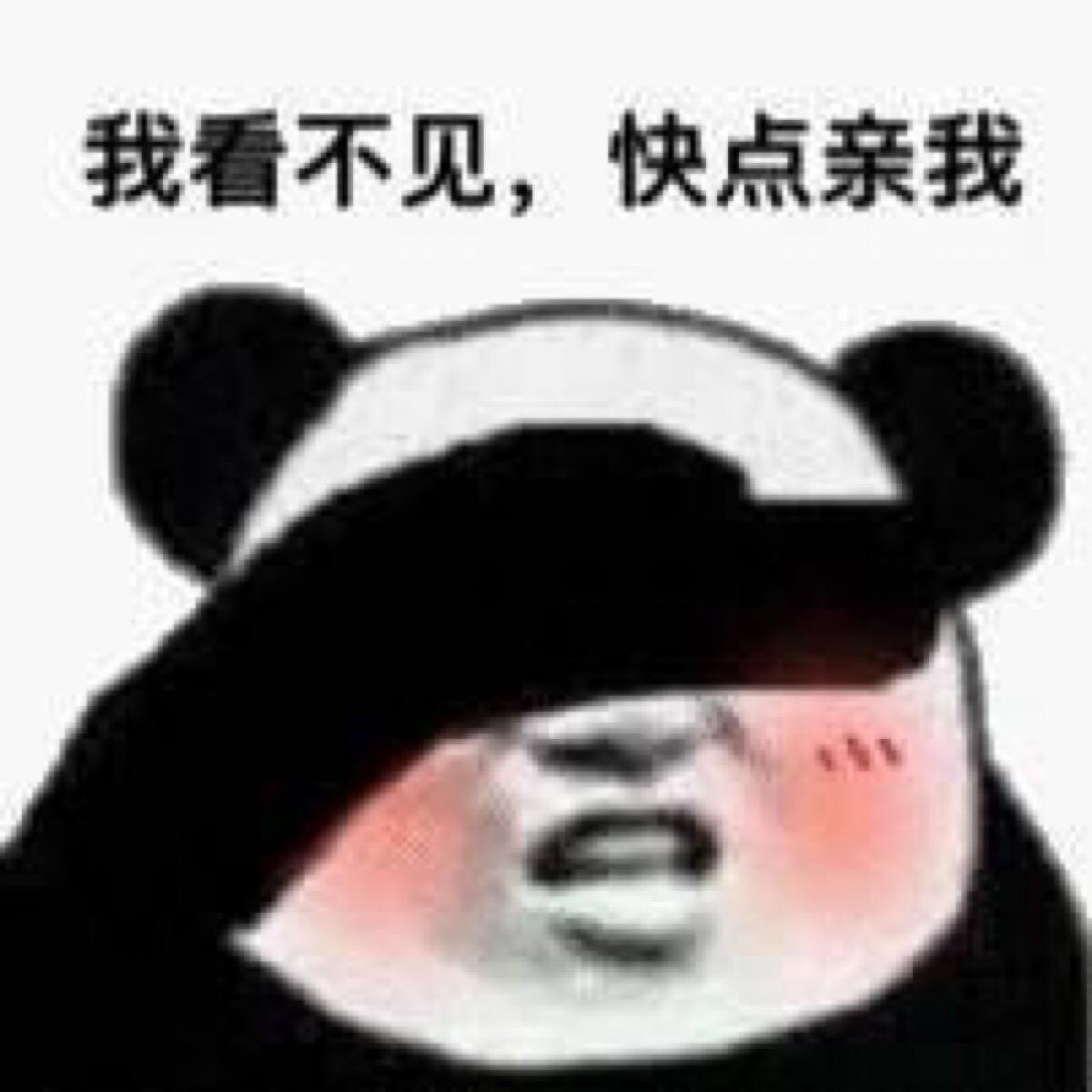 表情包 我看不见 快点亲我