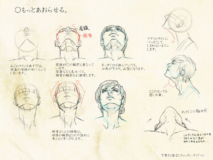 p站画师ピッポ的头部分析,俯视仰视,有些角度确实不容易掌控,马下学习