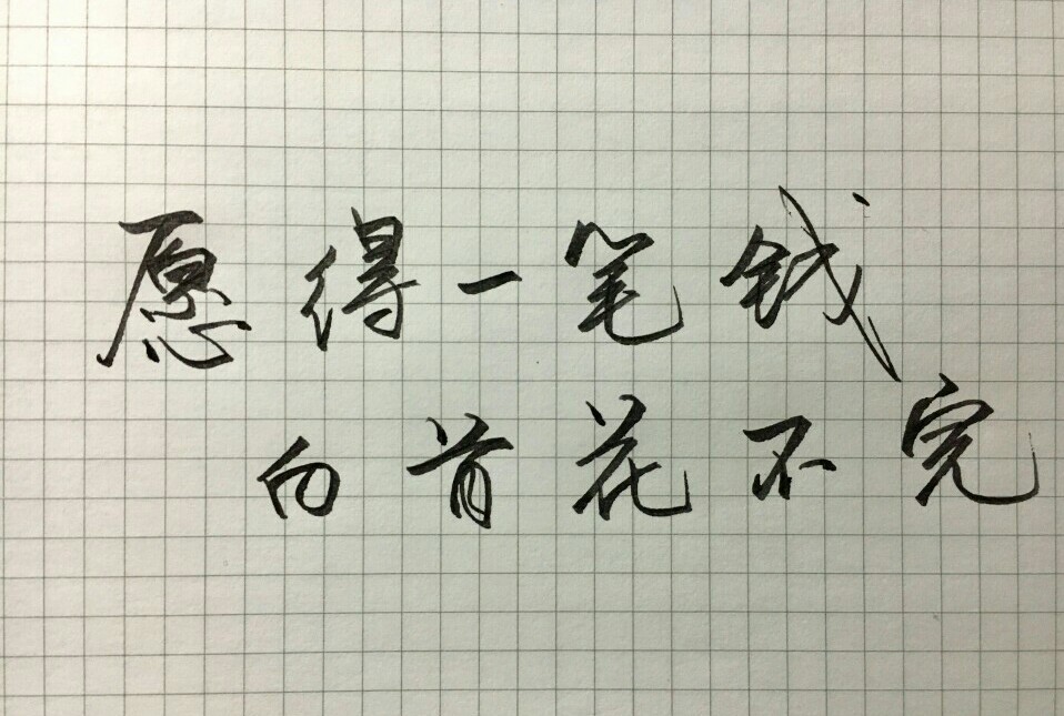 笔尖上的骚动 文字 手写双十一剁手党的愿望