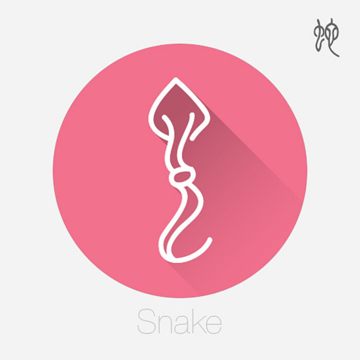十二生肖文字设计之甲骨文(二)--蛇-堆糖,美好生