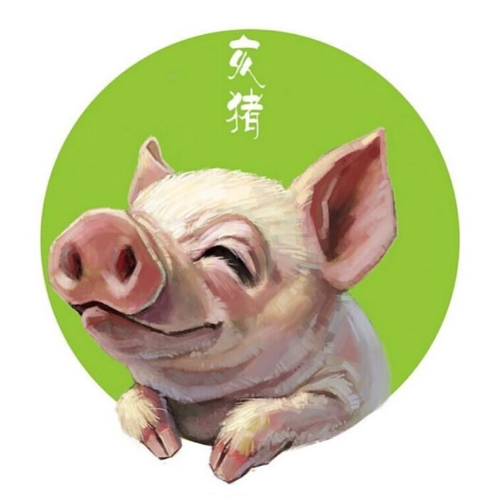 十二生肖头像插画——亥猪