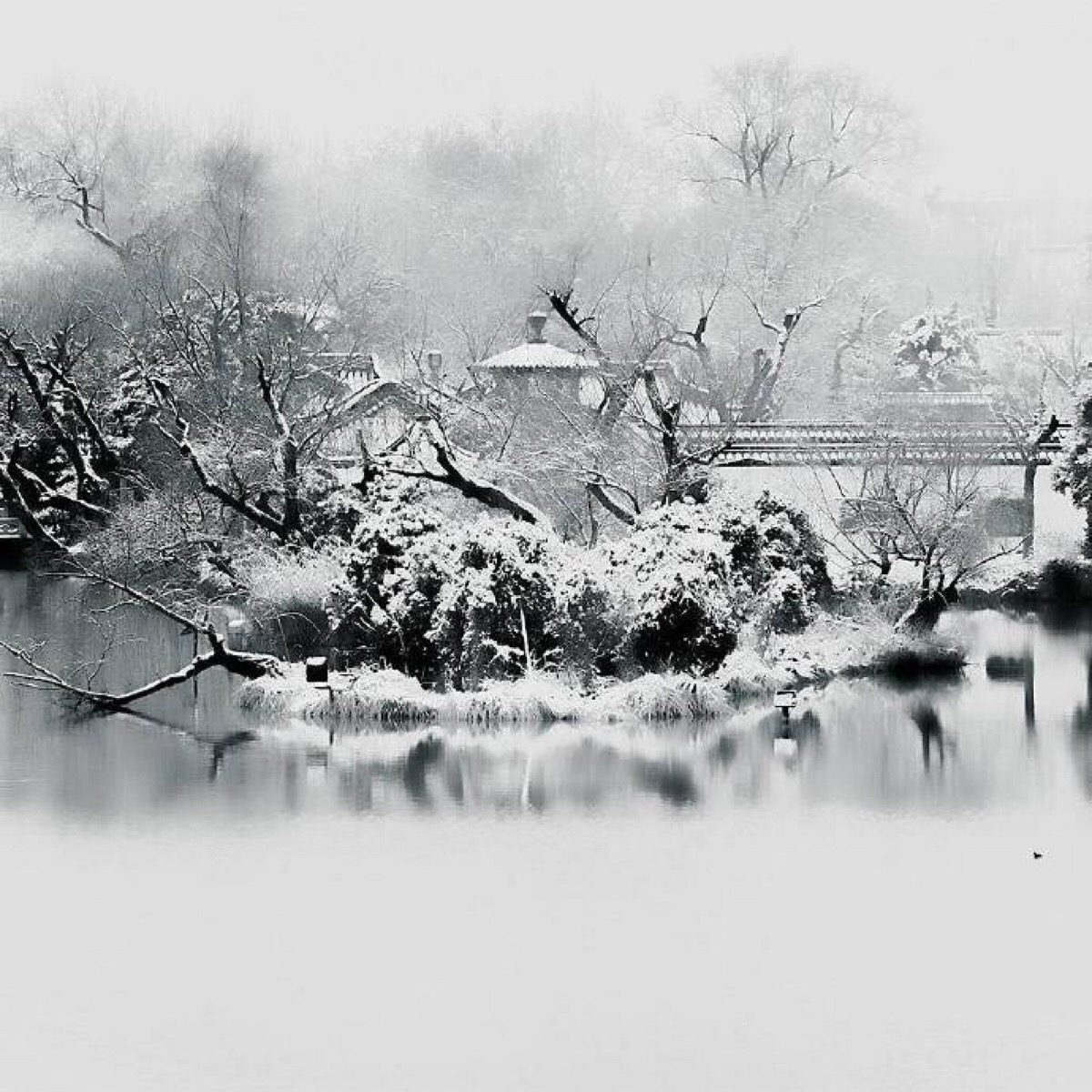 三百年,窃我容华覆以霜雪.长歌报蹉跎,笑对荒野孤月.