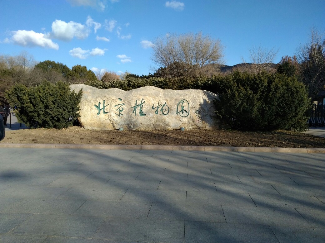 北京植物园&曹雪芹纪念馆秋游研学