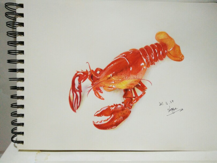 小龙虾 手绘 彩铅