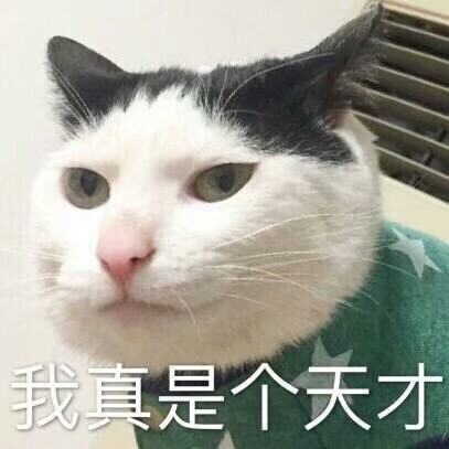 好久没更了感觉有些对不起小可爱们今天开更!(猫猫表情包)