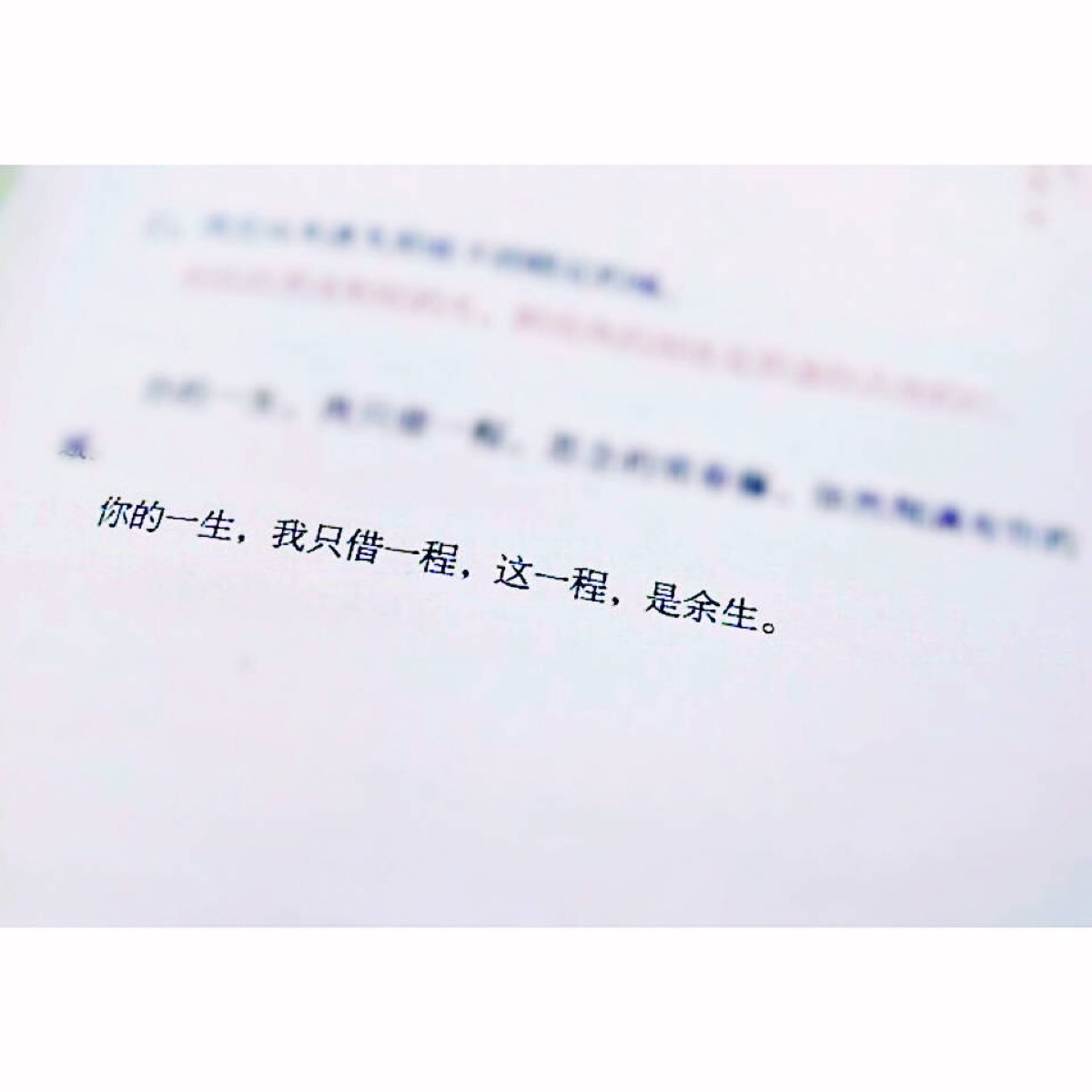 你的一生,我只借一程,这一程,是余生