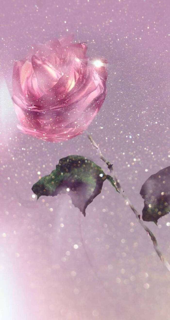 粉色 玫瑰 少女系列壁纸