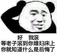 表情包 熊猫人
