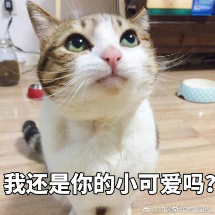 我还是你的小可爱吗
