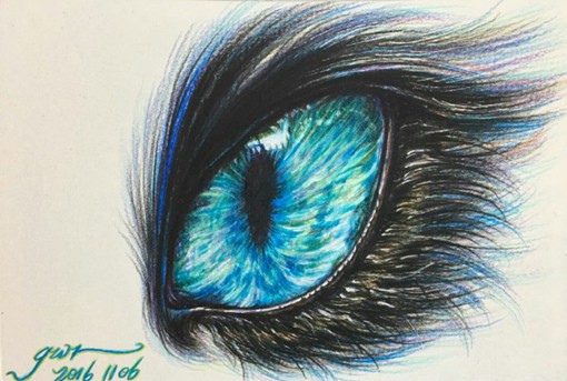 用彩铅画的梦幻又唯美的动物眼睛瞳孔插画