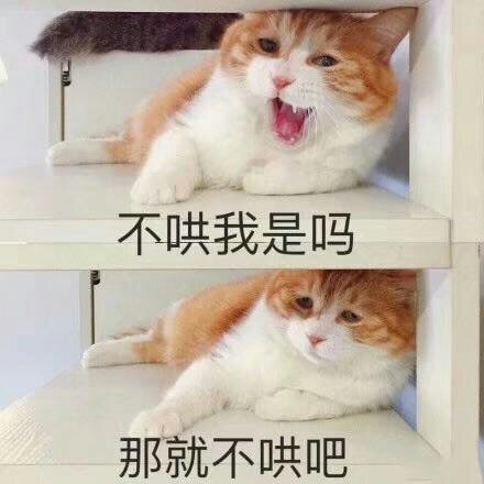 猫/表情包/不哄我是吗