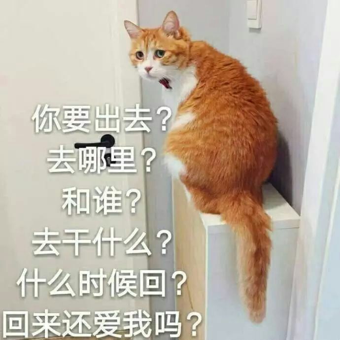 你要出去?去哪里?和谁?去干什么?什么时候回?回来还爱我吗?/猫/表情包