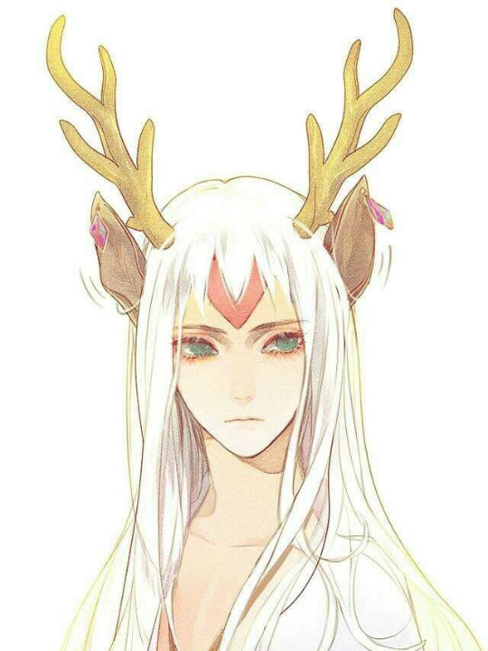 兽耳美男 白发 白衣