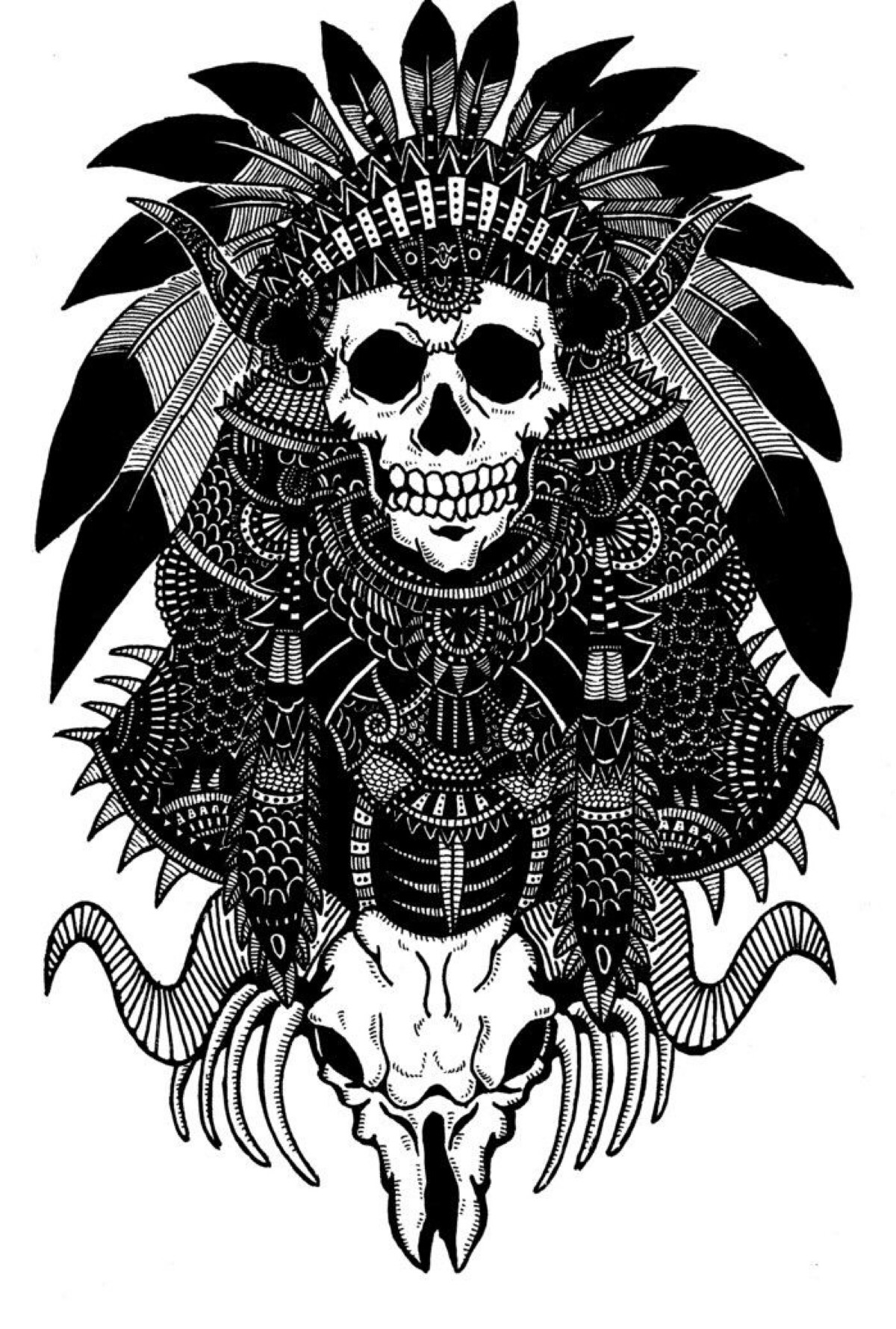 黑白插画 骷髅