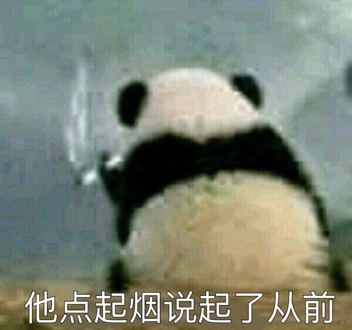 今日份的表情包原图精选~晚上好啊姐妹