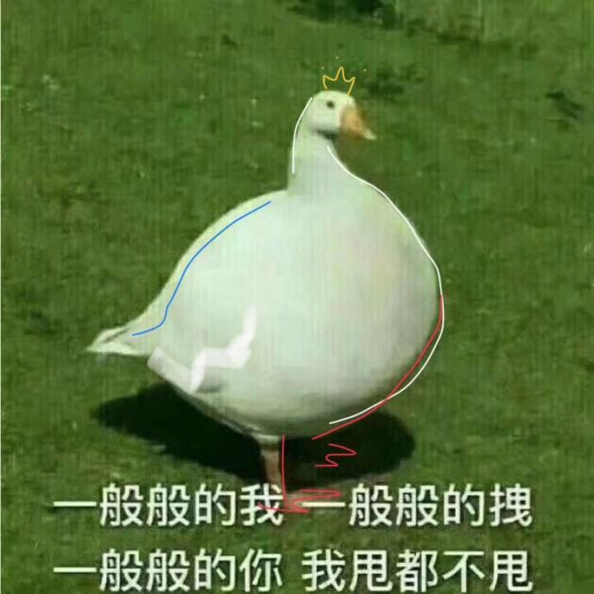 哈哈哈哈哈表情包