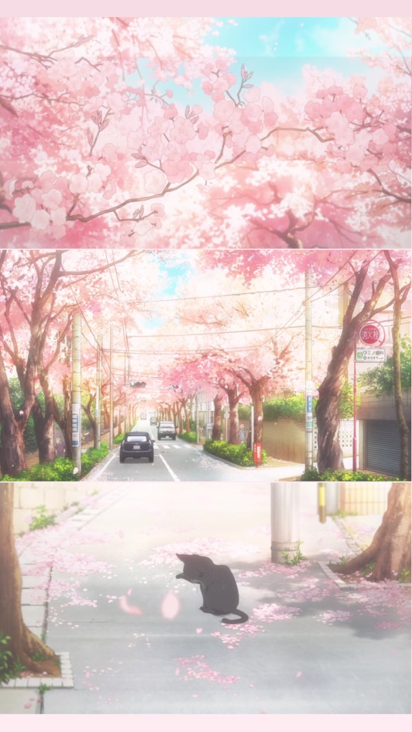 壁纸.动漫.拼接.三格.樱花.猫