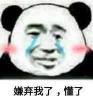 樱桃小丸子の表情包 搞笑表情包 搞怪表情包 熊猫表情包 可爱表情包
