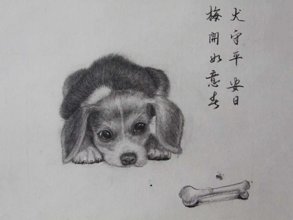 8道可道8*十二生肖素描——犬守平安