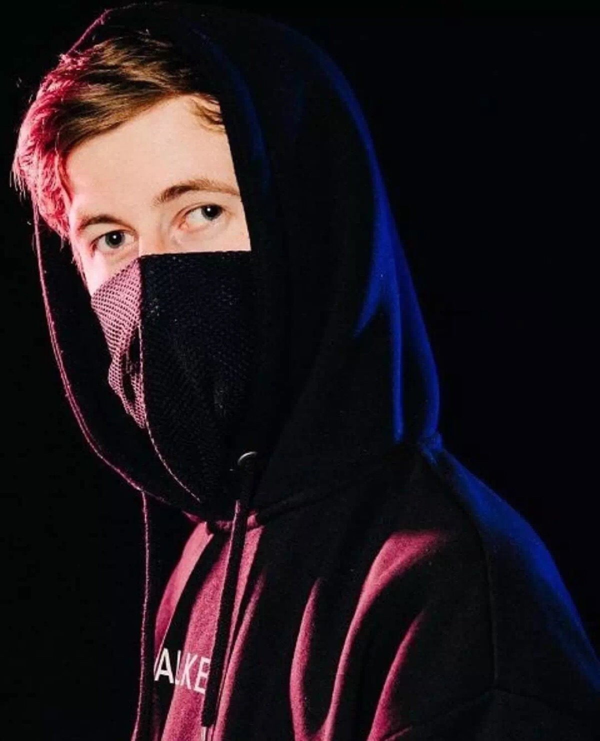 alan walker 艾伦沃克 电音天才