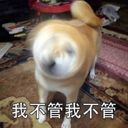 柴犬表情包