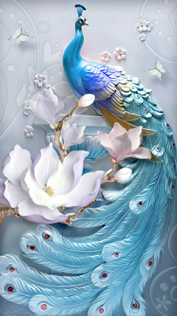 孔雀壁纸 头条搜索 孔雀壁纸 头条搜索