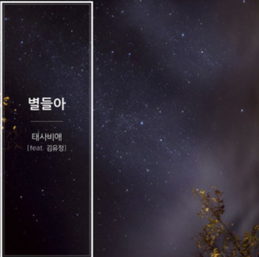 专辑封面图 来自殆死悲爱的《星星啊》 文艺意象 唯美夜空