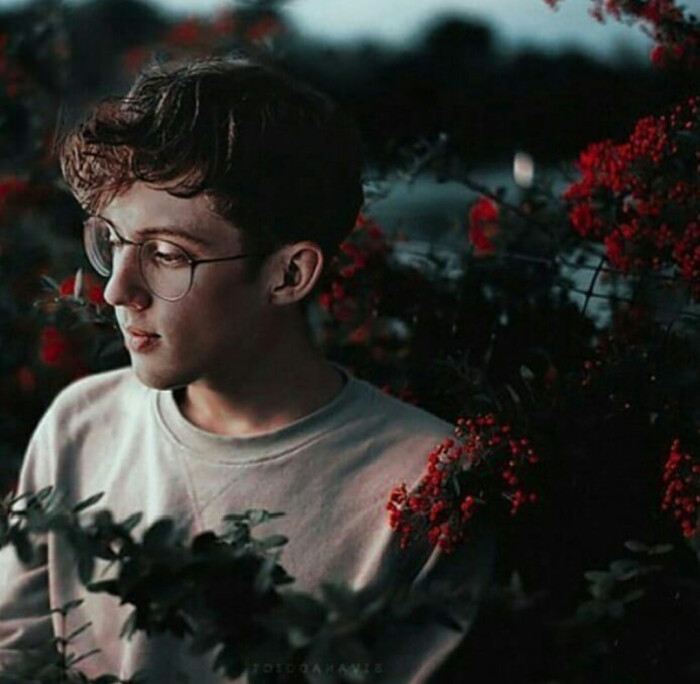 troye