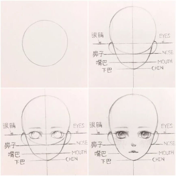 线稿 教程 脸部分布