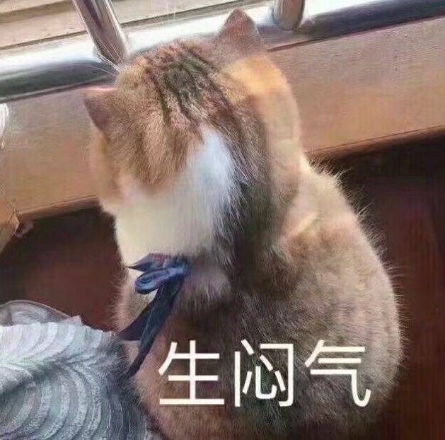 猫咪狗狗老鼠表情包可爱蠢萌套路小表情大表情