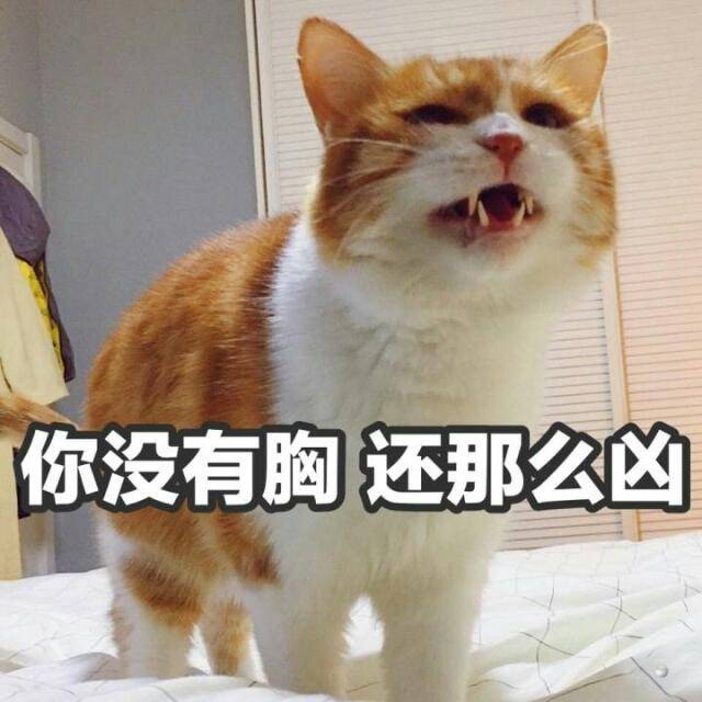 你没有胸,还那么凶!